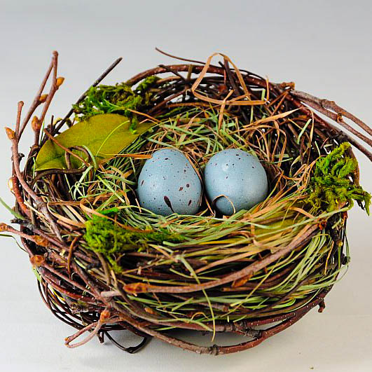 Nests w/Eggs