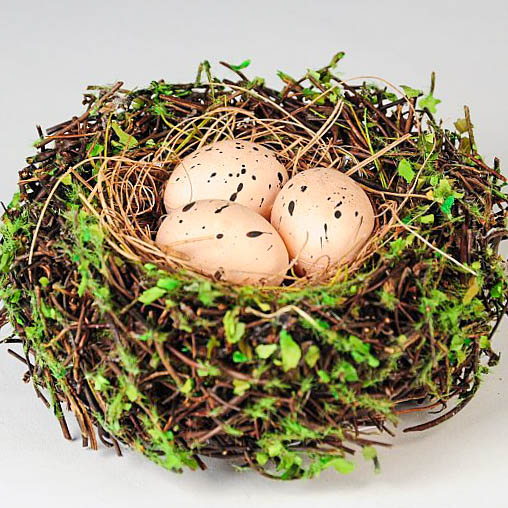 Nest & Eggs