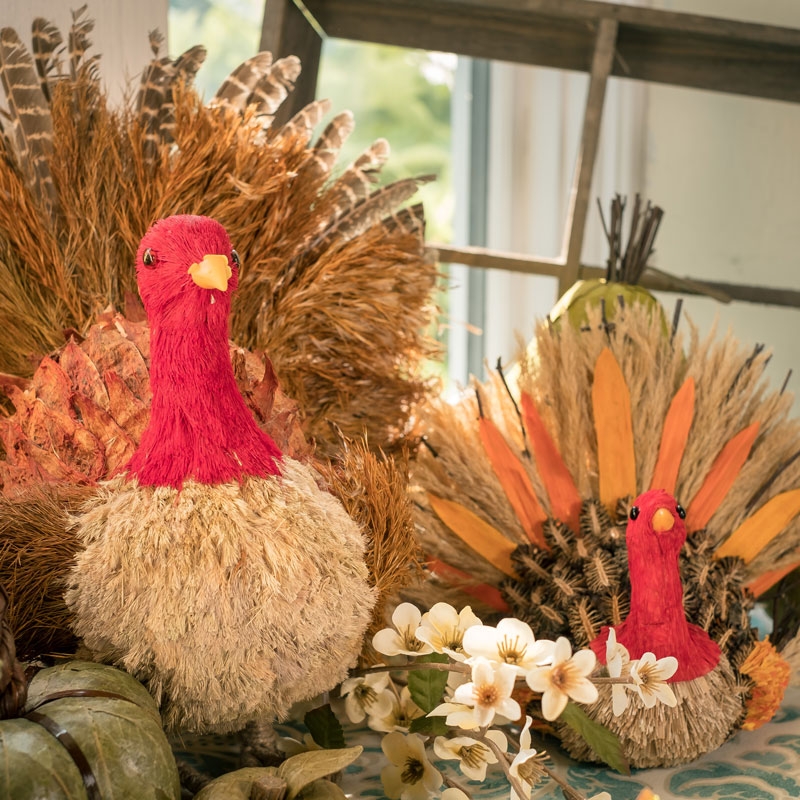 Fall & Thanksgiving