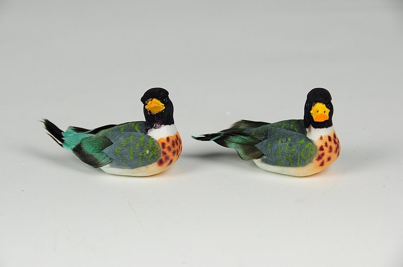 Duck Mullard Navy/Grn Asst*2