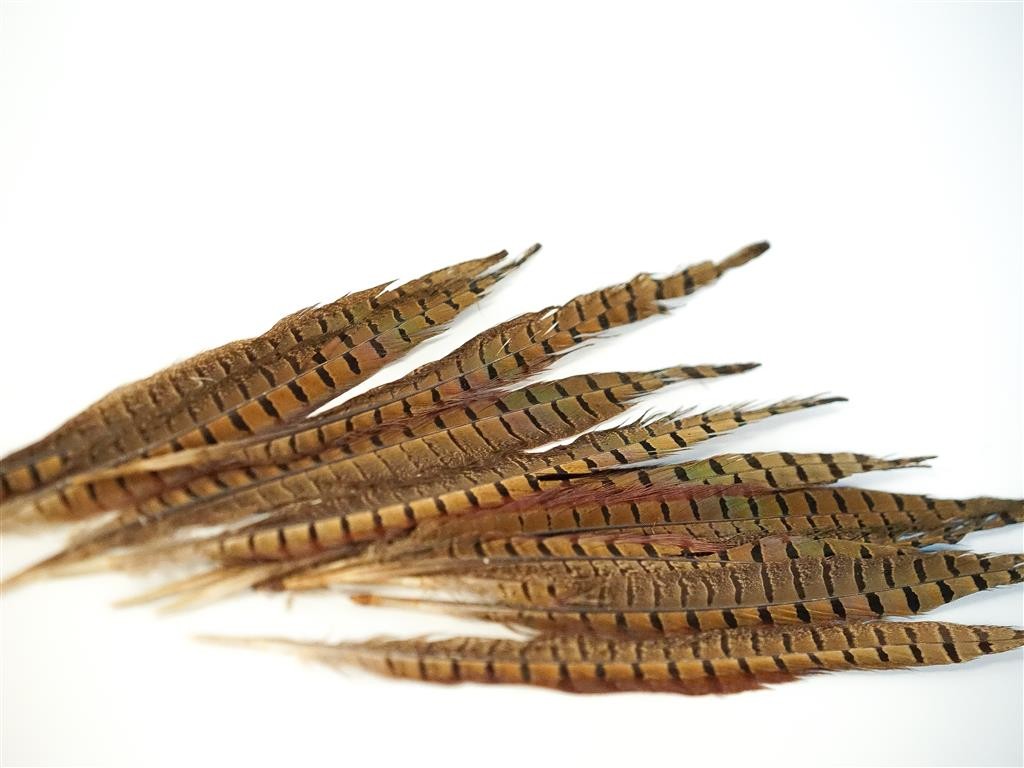 Pheasant Feather 14"