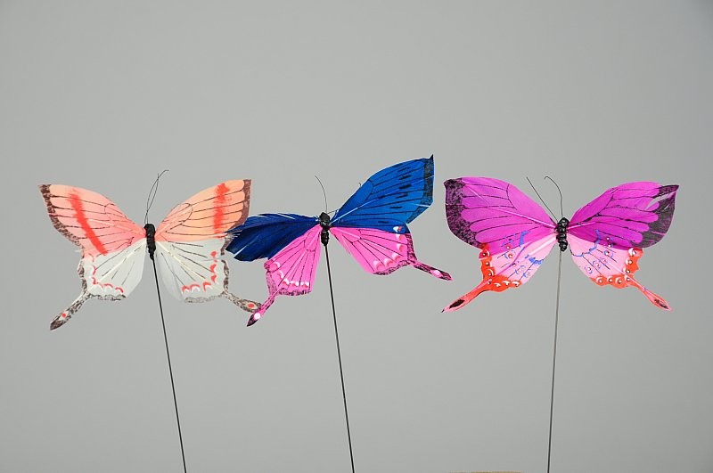 Butterfly Pnk/Blu/Org/Wht Asst 4"