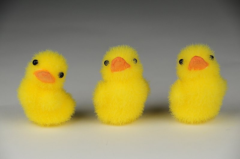 Duck Yellow Flocked Asst*3 1.5"