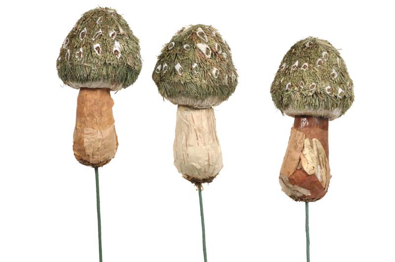 Mushroom Grn Grass Pick Asst*3 4.5"