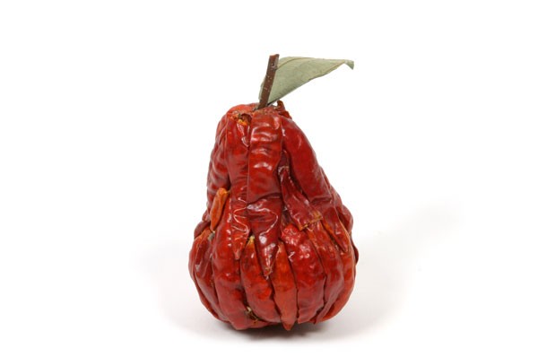 Chili Pepper Pear 3"