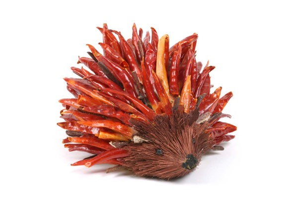 Chili Pepper Hedgehog w/Twig 5"