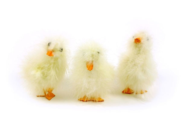 Duck Fuzzy Lt. Yellow Asst*3 4"