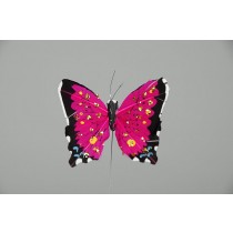 Butterfly Pink 2.5"