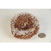 Nest Snow Brown Twig 3.5"