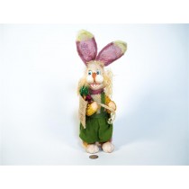 Rabbit In Green Dress