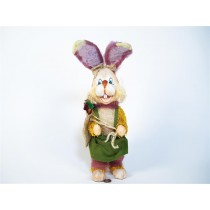 Rabbit In Green Dress