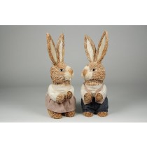 Rabbit Nat. Jute w/Blu Pnk Clothes Asst*2 8"