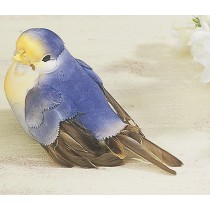 Bird Lte Blue 3.5"