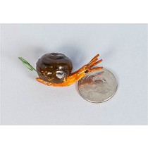 Snail Brown 1.25"