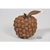 Apple Brown Nutshell 4.5"