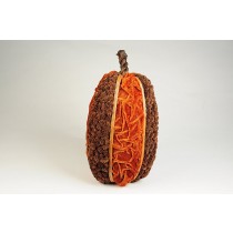 Pumpkin Brown Mini Cone/Velvet 9"