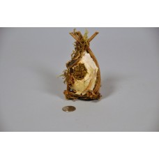 Birdcage Nat. Birch/Vine/Moss 5.25"