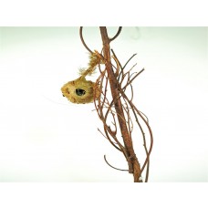 Birdcage Lte Brown on Branch 4"