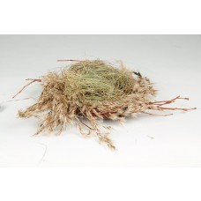 Nest Nat. Wheat/Grn Grass 5"