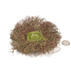 Nest Brown Twig/Moss/Grass 6"