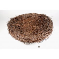 Nest Brown Twig 20"