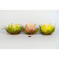 Nest Brn Twig/Breath w/G/Y/P Eggshell Asst*3 5.5"