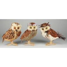 Owl Grass Asst*3 9"
