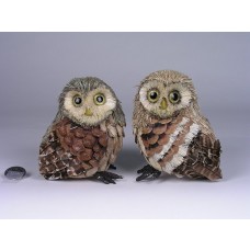 Owl Fat Feather/Cone Chip Asst*2 5"