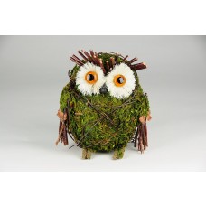 Owl Green Moss & Twig 5"