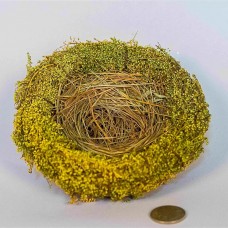 Nest Nat./Grn Breath w/Grass 5.5"