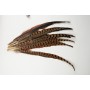 Pheasant Feather 16"