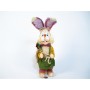 Rabbit In Green Dress
