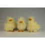 Duck Fuzzy Yellow Asst*3 4"