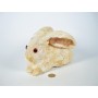 Rabbit White Jute Sitting