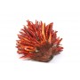 Chili Pepper Hedgehog w/Twig 5"