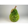 Pear Lte Green Woodchip 9.5"