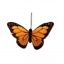 Butterfly Monarch 4"